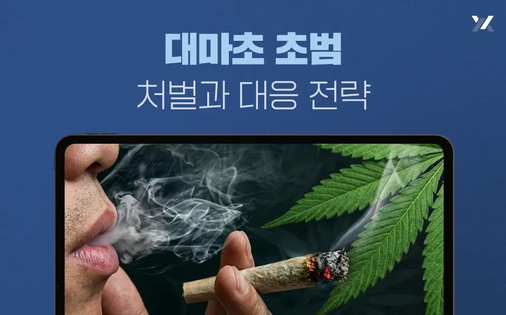 대마초 초범 처벌과 대응 전략